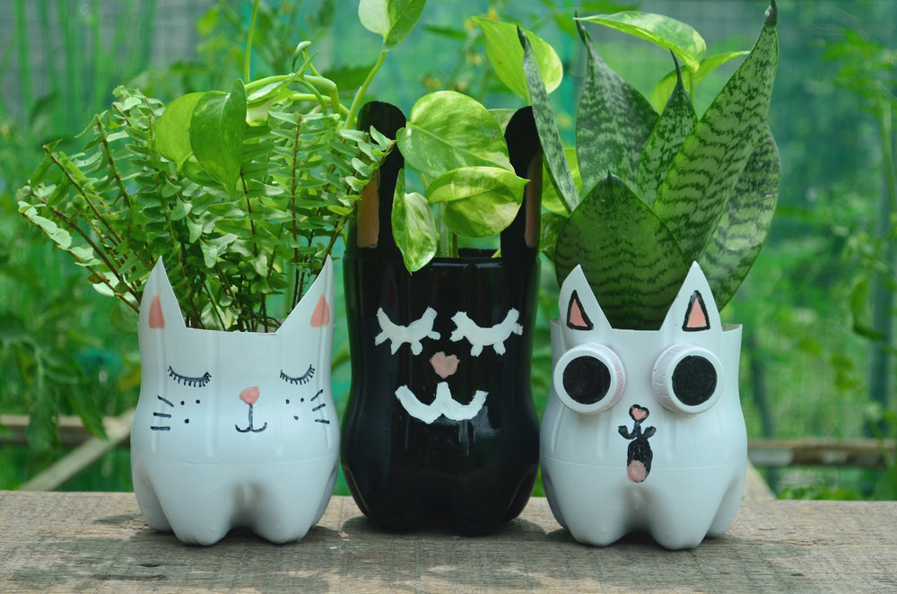 Animal Plant Pots