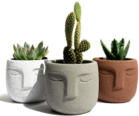 Concrete Head/Face Plant Pot Planter Statue - Home Office Desk Shelf Small Plant Pot