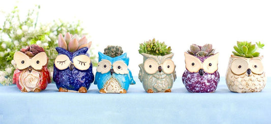 Stunning Ceramic Glazed Owl Succulent/Plant Pots Cute Animal Planters (Plants Not Included)