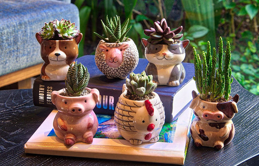 Loveable Cute Animal Succulent/Cactus Plant Planters Great Gifts Xmas Birthday - Pig Cow Chicken Sheep Dog Cat