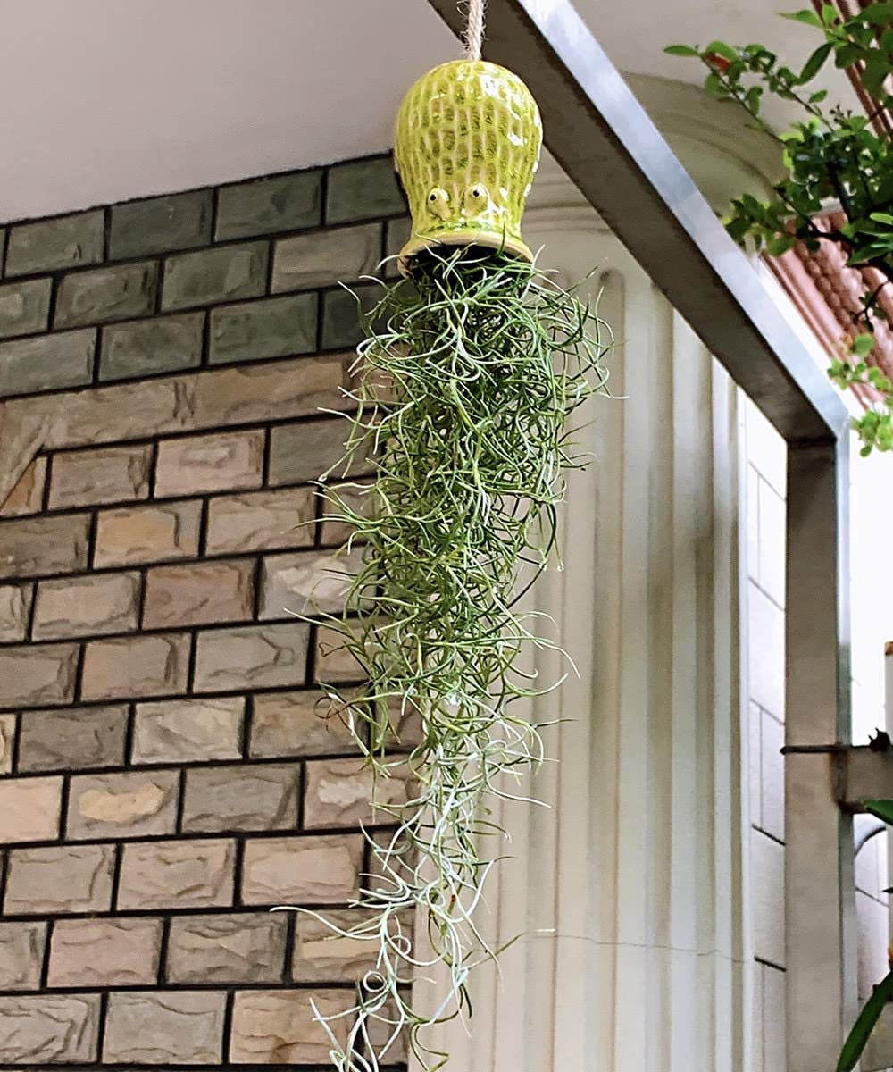 32 in. Artificial Spanish Moss Hanging Air Plant Greenery Foliage