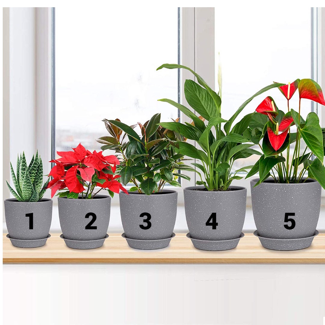 House Plants Pots -  Gray Matte with white spots Plastic Round Deep Planter Pots - Succulents Flowers Cactus Aloe Indoor House Plant Pots