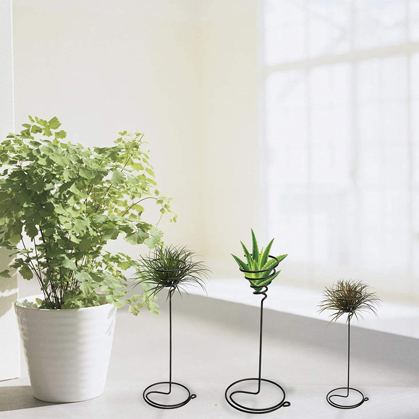 Air Pot Holder/Stand Pot WITH Air Plant