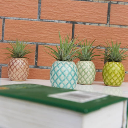 Fun & Cute Pineapple Air Plant Pot Holder - Tillandsia Ceramic Pot in 4 colors