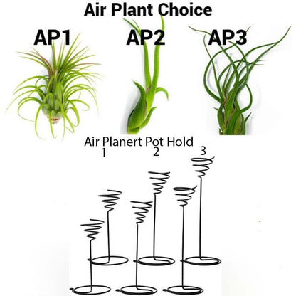 Air Pot Holder/Stand Pot WITH Air Plant