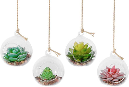 Glass Orb Floating Hanging Air Plant Hanger Amazing Décor 2022 Office Home Decor Display