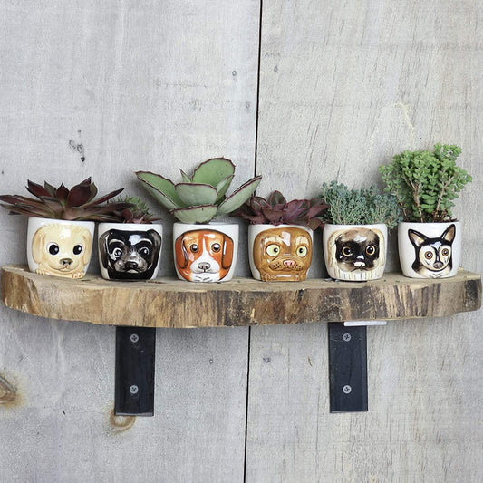 Plant & Pot Adorable Dog Planters Pots -  Cute Puppy Pots - Mini Ceramic Dog Planters - Best Pet Dog Gift - Christmas, Thanksgiving, Gifts