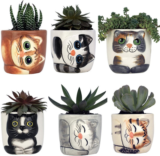 PLANT and POT Cute Cat/Kitten Plant & Pot Adorable Kittens Planters Pots -  Mini Ceramic Cat Planters - Best Pet Cat Gift - Christmas, Gifts