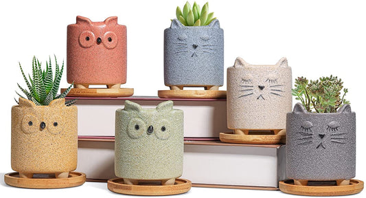 Small Cat/Kitten Plant or Craft Pot - gritty and rough like a cats tongue  - Cat Animal Succulent Pot