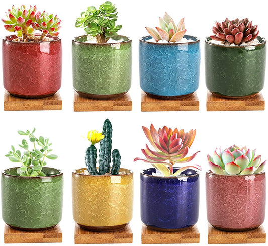 Ceramic Ice Crack Succulent Plant Pot - Small Cactus Succulent Aloe DIY Planter Pot Gift