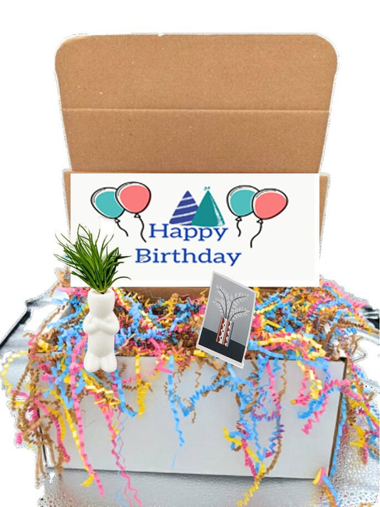 Air Plant Pot & Air Pot With Celebration Gift Box Theme Personal Message and Card Birthday Gift Box Live Plant and Pot