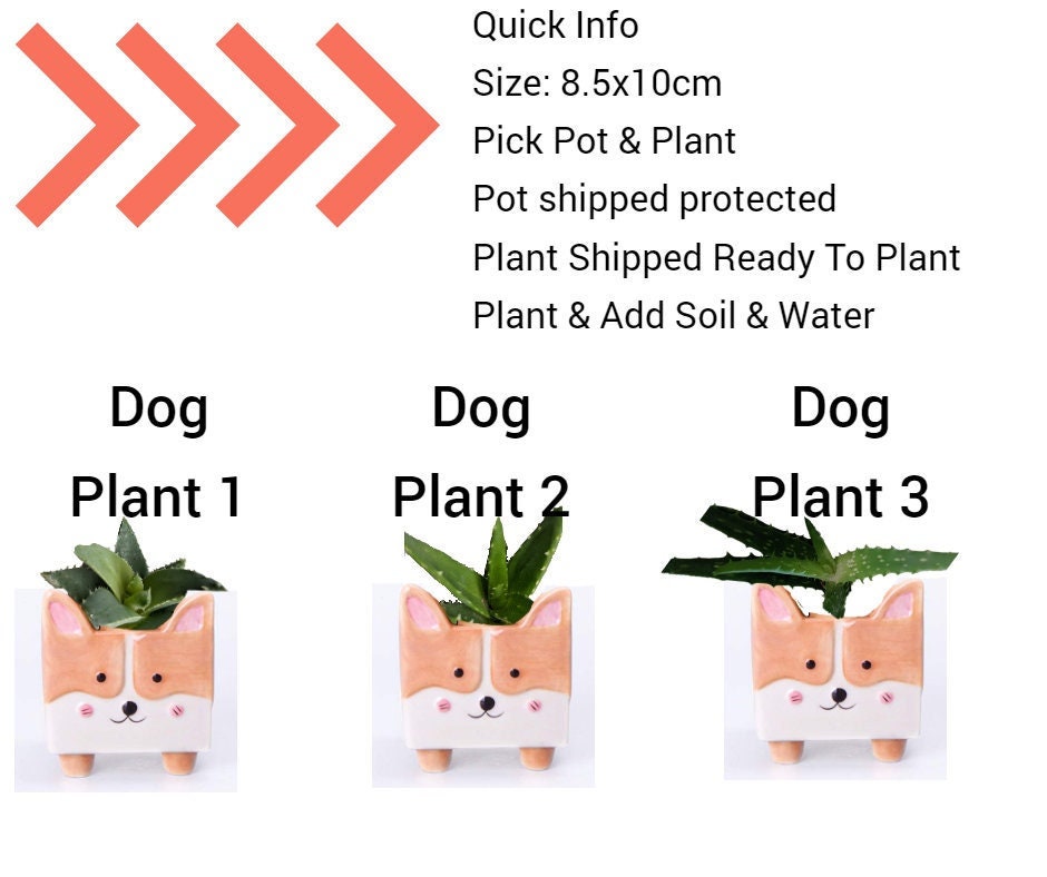Creative Animal Pot Dog, Hedgehog, Fox, Rabbit/Bunny Animal Plant Pots plant decor