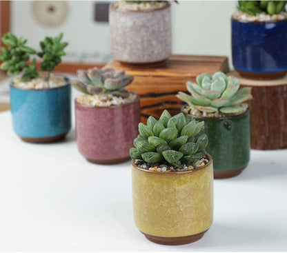 Ceramic Ice Crack Succulent Plant Pot - Small Cactus Succulent Aloe DIY Planter Pot Gift