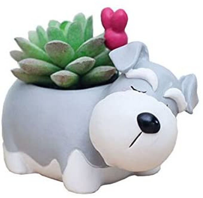 Schnauzer Dog Plant Pot -  Best Gift Animal Dog Schnauzer Lovers - Plant Pot 2.5" great gift