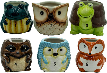 Cute Critters Animal Plant Pot Frog Owl Turtle Raccoon Hedgehog Fox - Indoor Small Plant Pot Succulent Cactus Gifts