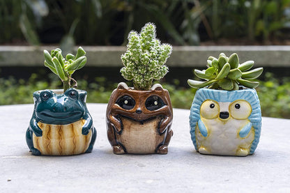 Cute Critters Animal Plant Pot Frog Owl Turtle Raccoon Hedgehog Fox - Indoor Small Plant Pot Succulent Cactus Gifts