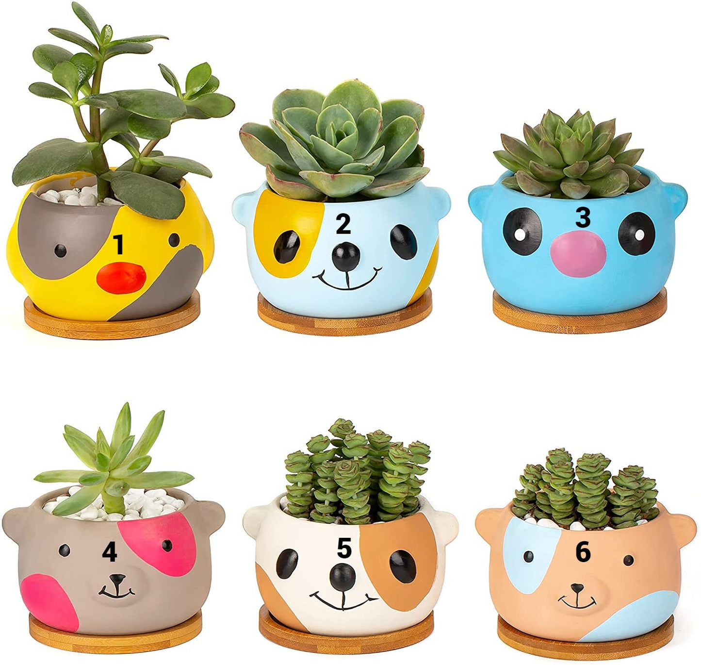Cute Bear Baby Small Animal Plant Succulent Pot - Happy Succulent Pots - Great Gift For Kids, Teachers Health care workers