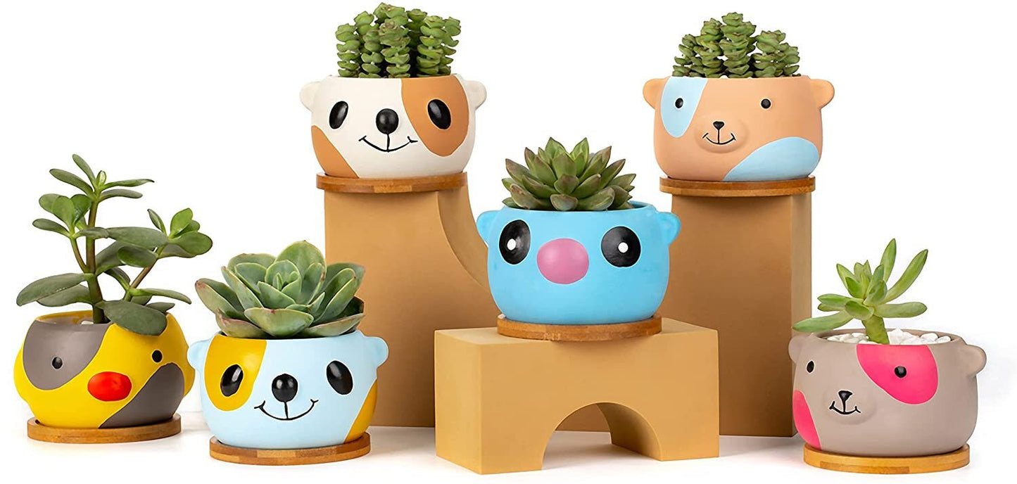 Cute Bear Baby Small Animal Plant Succulent Pot - Happy Succulent Pots - Great Gift For Kids, Teachers Health care workers
