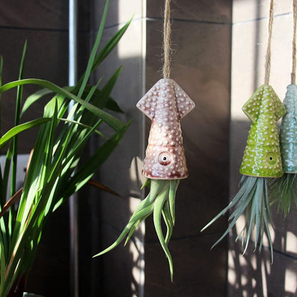 Squid Air Plant Pots WITH Air PLANT!  - Looks great as home decor  - Great Ocean Related Gift Holiday Birthday Gift House Warming