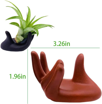Air Pot Hand Holder Pot Stand Display - Made for Small & Medium Air Plants