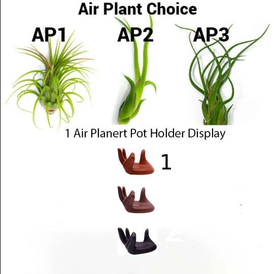 Air Pot Hand Holder Pot Stand Display - Made for Small & Medium Air Plants