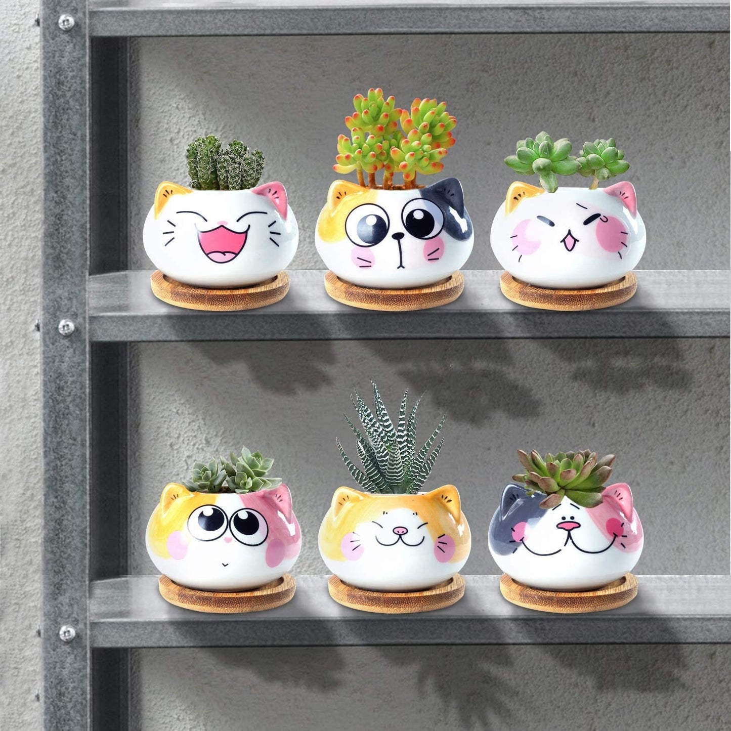 Cartoon Mini Cat Plant Pots- Animated Emotional Kitten/Cat Succulent Cactus Plant Pots- Kids Friends Family Gift Birthday Wedding Indoor Pot