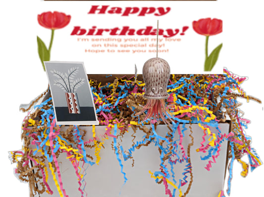 Birthday Girl Gift Box With Air Plant & Plant Pot Sister Mothers Gift Box For Loved ones Thank You Gift I Love You Gift