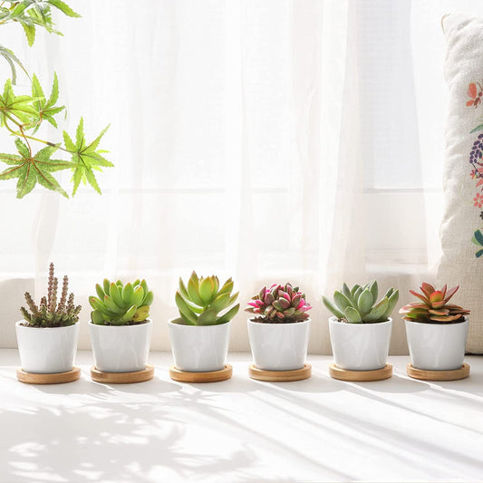 White 2.5" Pot Ceramic Pot - Cactus Planter, Succulent, Air Plants, Flower or Faux Plants Display