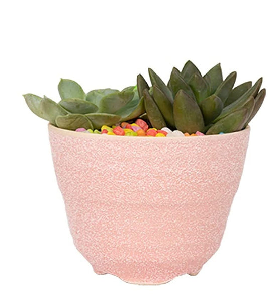Pink Indoor Frosted Textured Plant Pots - Indoor plant pot 3.75"* 2.36" Great for succulents cacti aloes  or a cactus succulent mix