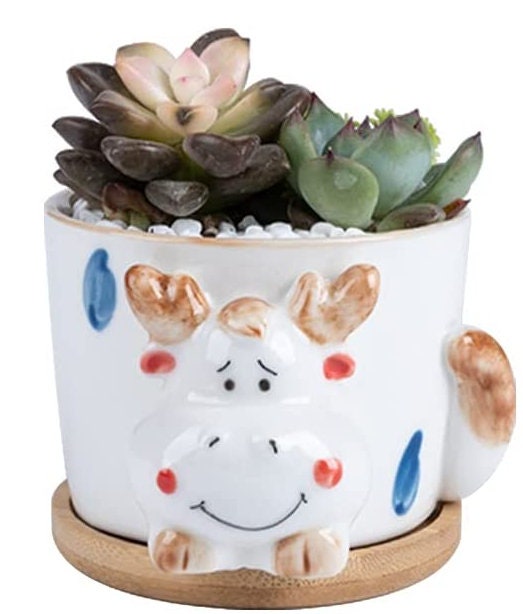 Indoor Plant Pots - Succulent Cactus Pots - Animal Plant Gifts - Bunny/Rabbit, Dog/Puppy, Cat/Kitten, Cow Pots