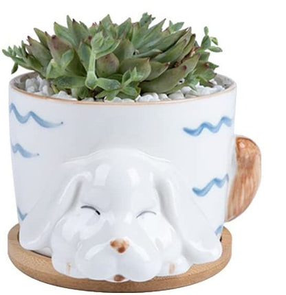 Indoor Plant Pots - Succulent Cactus Pots - Animal Plant Gifts - Bunny/Rabbit, Dog/Puppy, Cat/Kitten, Cow Pots