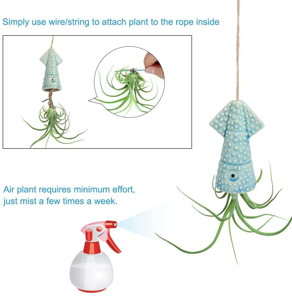 Fun & Happy Squid Air Plant Pots - Squid Air Plant Pots Container - Great Loved one Gift Friends Family Coworker Gifts