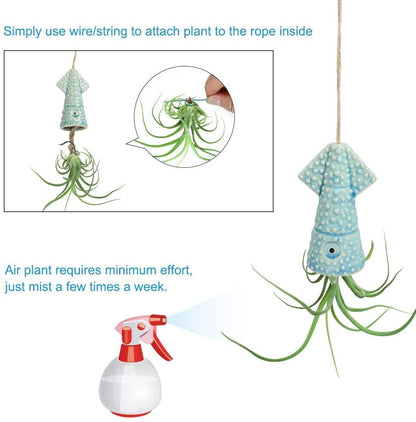 Squid Air Plant Pots WITH Air PLANT!  - Looks great as home decor  - Great Ocean Related Gift Holiday Birthday Gift House Warming