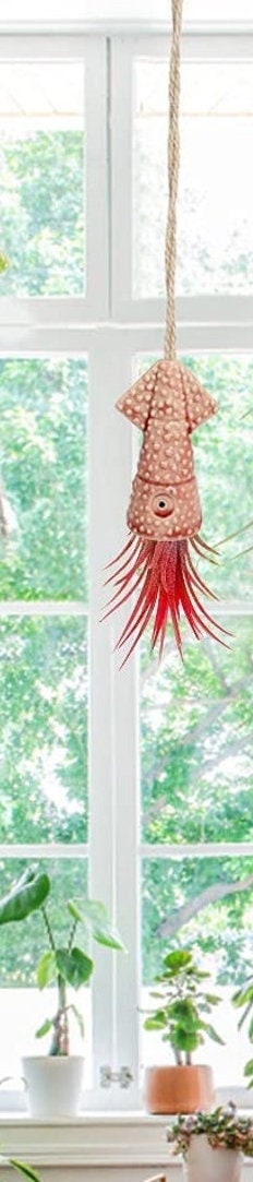 Squid Air Plant Pot RED - Great Plant Gift Goes Well with its Ocean  feel as a Hanging Display