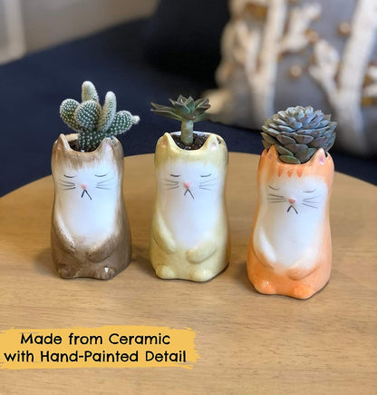 Cat/Kitty/Kitten Small Plant Pots - Great for Plant & Cat Lovers - Ceramic Hand Painted Indoor Small Succulent Pot NOW with FREE Gift!