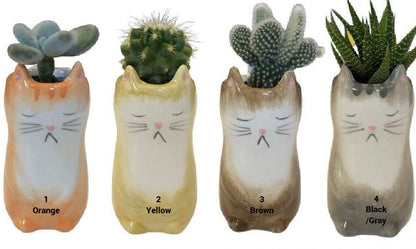 Cat/Kitty/Kitten Small Plant Pots - Great for Plant & Cat Lovers - Ceramic Hand Painted Indoor Small Succulent Pot NOW with FREE Gift!
