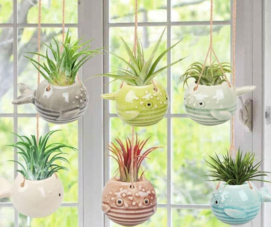 Puffer Fish / Blow Fish / Ballonfish - AirPlant Pot Hanger for Most Air Plants